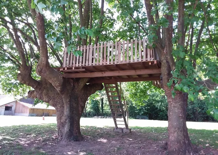 Ferme Gribeshaoutes Pensión Préchacq